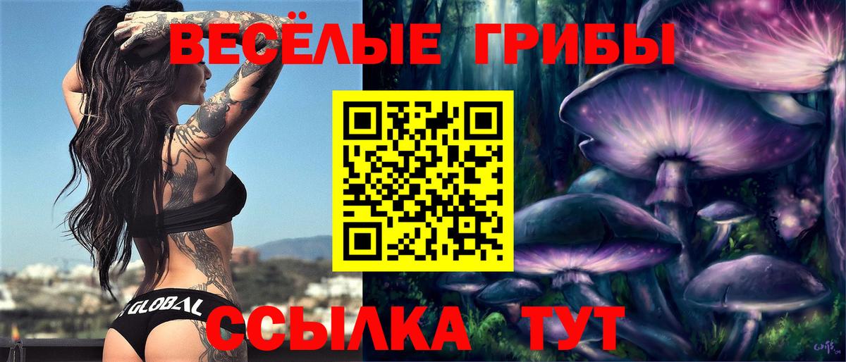 Псилоцибиновые грибы мицелий  Вход с VPN  Саров  Псилоцибиновые грибы Psilocybe 