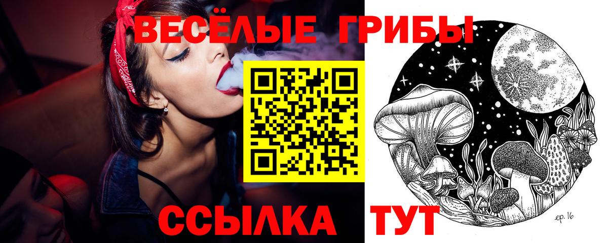 Галлюциногенные грибы мухоморы Саров